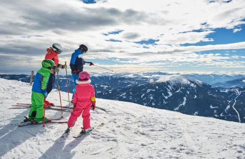 Mariapfarr Ski Chalet | Chalet Auszeit