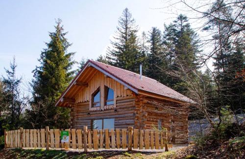 Anould House | Chalet Authentique en Forêt, 6 Pers, Proche Gérardmer, Sentiers & Stations de Ski - FR-1-589-378