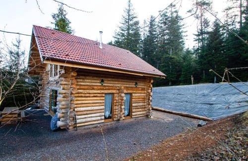 Anould House | Chalet Authentique en Forêt, 6 Pers, Proche Gérardmer, Sentiers & Stations de Ski - FR-1-589-378