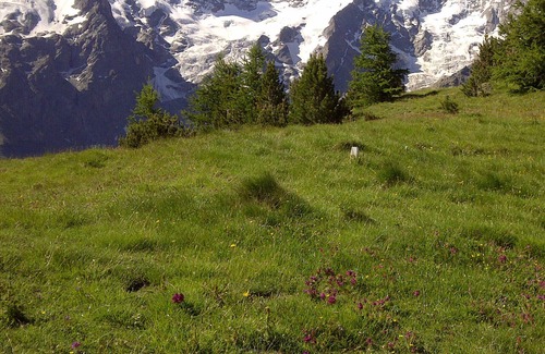 La Grave Ski Chalet | Chalet Breche Pacave, facing La Meije -label accueil velos