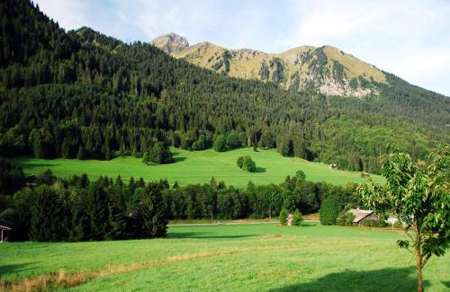 La Chapelle-d'Abondance Bed & Breakfast | Chalet Cannelle