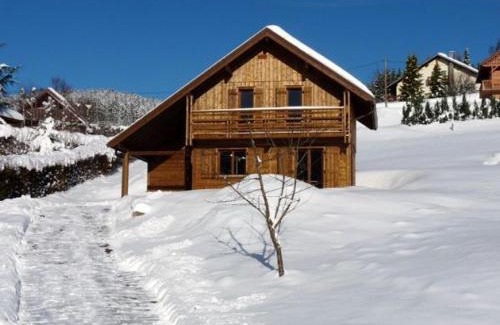 Le Grand Valtin House | Chalet chaleureux face aux pistes, proche Gérardmer, idéal pour famille, balcon et terrasse - FR-1-589-182