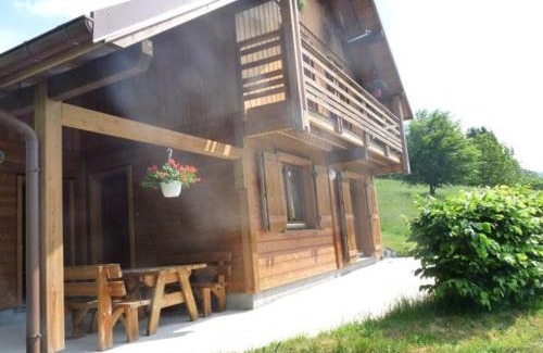 Le Grand Valtin House | Chalet chaleureux face aux pistes, proche Gérardmer, idéal pour famille, balcon et terrasse - FR-1-589-182