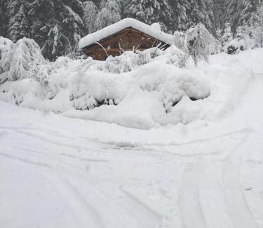 Les Prodains Ski Chalet | Chalet Chardon