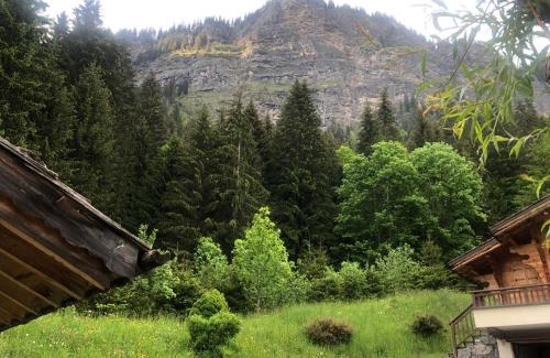 Les Prodains Ski Chalet | Chalet Chardon