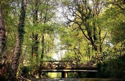 Terrasson-la-Villedieu Ski Chalet | CHALET CONFORT 8 - the clos of the mill