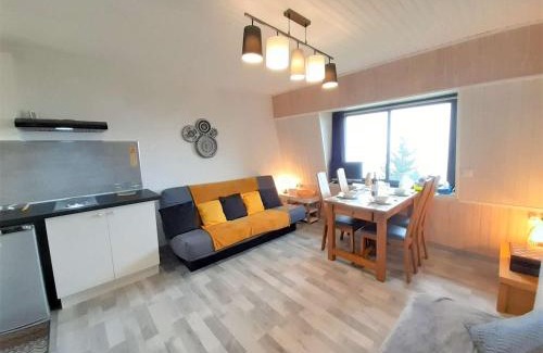 Saint-Lary-Soulan Apartment | Chalet cosy 4 pers à 800m des pistes - TV, kitchenette équipée, navette gratuite vacances. - FR-1-457-308