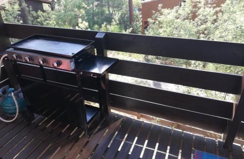 Maubuisson Ski Chalet | Chalet dans les pins