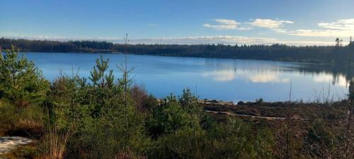 Gasselte Ski Chalet | Chalet De Bosrand Gasselte