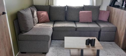 Gasselte Ski Chalet | Chalet De Bosrand Gasselte