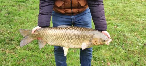Vireux-Molhain Ski Chalet | chalet de luve