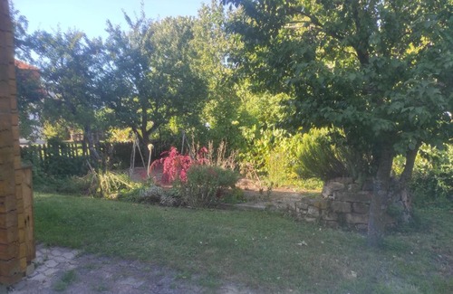 Soultz-Haut-Rhin Ski Chalet | CHALET DU FLORIVAL