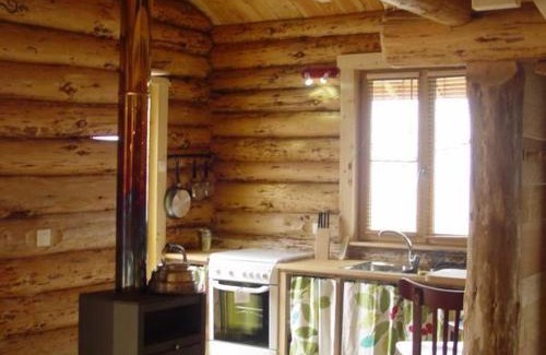 Saint-Martin-la-Sauvete House | Chalet en bois au cœur de la nature, animaux acceptés - FR-1-496-187
