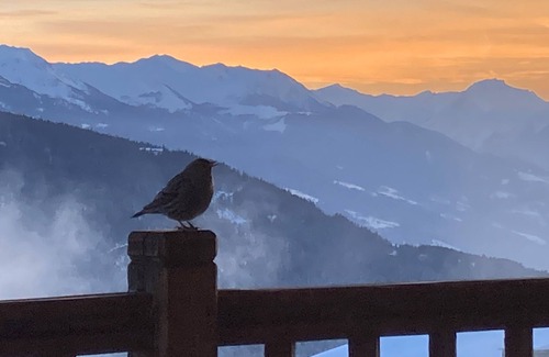 La Rosiere Ski Chalet | Chalet Esquirol (Hermine) - Ski-in ski-out, exceptional view