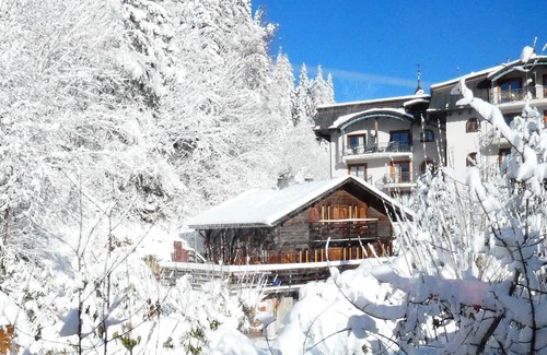 Argentiere Ski Chalet | Chalet Falcon - Spacious Chalet with Hot Tub