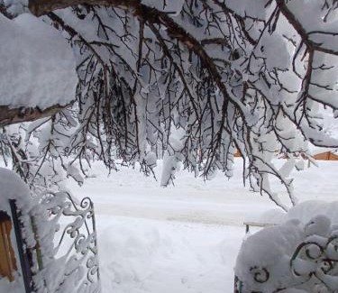 Saint-Etienne-de-Tinee Ski Chalet | CHALET FAMILIAL AURON