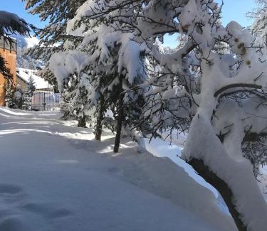 Saint-Etienne-de-Tinee Ski Chalet | CHALET FAMILIAL AURON