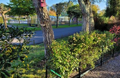 Azur Ski Chalet | Chalet familial entre lac et fôret