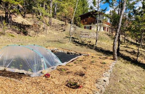 Saint-Apollinaire Apartment | Chalet Forest