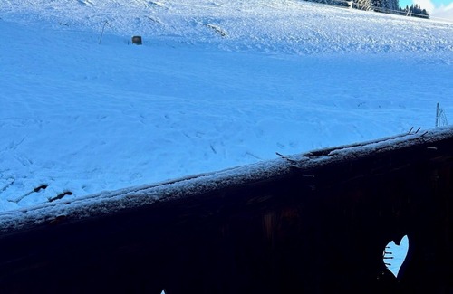 Notre-Dame-de-Bellecombe Ski Chalet | Chalet de l'Ours, at the foot of the Espace Diamant slopes, ideal for families