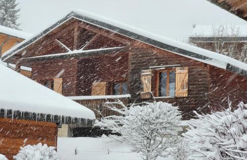 Saint-Laurent-en-Grandvaux Ski Chalet | Chalet les Randonneurs spacieux 8 couchages