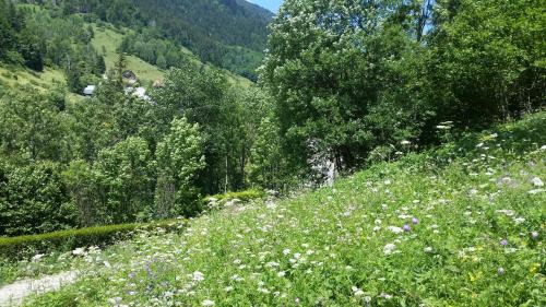 Le Massot Ski Chalet | Chalet cosy en Chartreuse classé