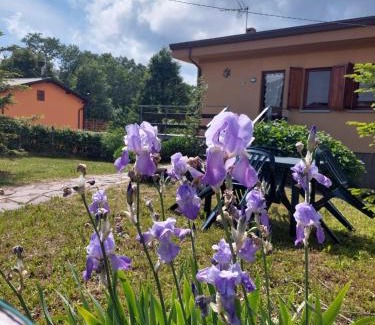 Villa Bascilica House | Chalet Grazia