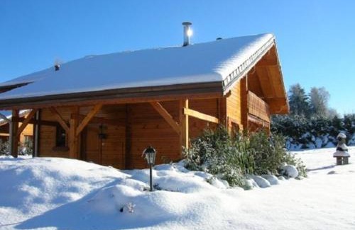 Saint-Nabord House | Chalet haut de gamme avec sauna, terrasse et jardin près de la montagne vosgienne - FR-1-589-185