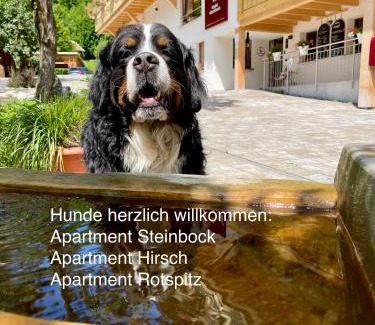 Bad Hindelang Apartment | Chalet Hirschbach