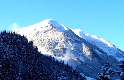 Saalbach Ski Chalet | Chalet in Saalbach near Ski Slopes