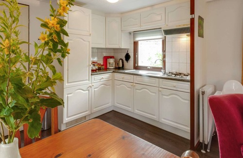 Stegeren Ski Chalet | Chalet in Stegeren with Pool and Gardens