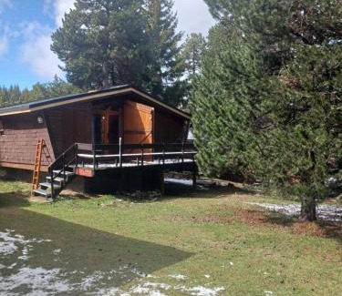 Pyrenees 2000 Ski Chalet | Chalet l'Epicéa dans la forêt, T3 avec terrasse & jardin à 5 min à pied des pistes P2000