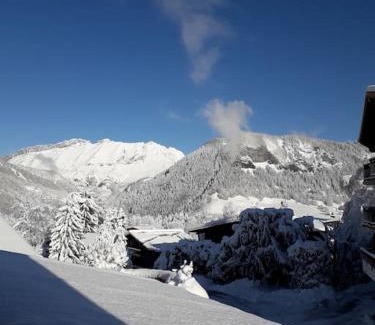 Notre-Dame-de-Bellecombe House | chalet l'Orignal 145m2, 10pers, pied de piste,SPA