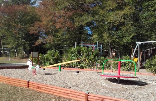 Peyrignac Ski Chalet | Chalet La Cabane 35m² + dishwasher + Covered terrace + Television 1 / 4pers