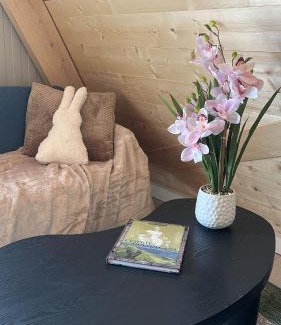 Laguiole Apartment | chalet laguiole-aubrac