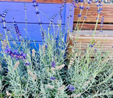 Schimmert Other | Chalet Lavendel