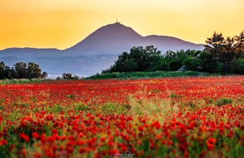 Mont-Dore Ski Chalet | chalet le balcon du Sancy - location du samedi au samedi - linge de lits fournis - option ménage fin de séjour non proposée