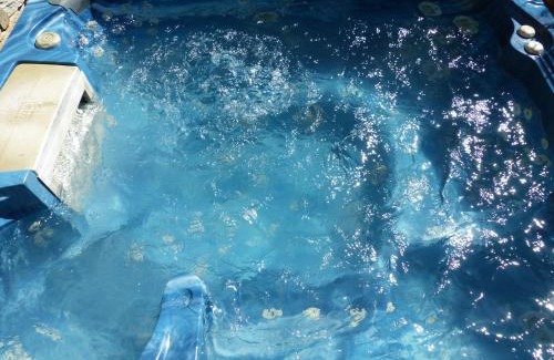 Gedre House | Chalet Le Bordarriben sauna & spa