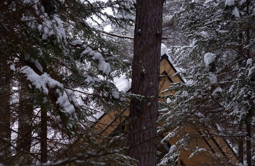 Saint Come Cabin | Chalet le Colvert- Petfriendly($)