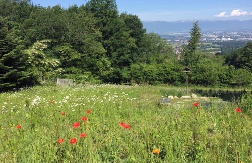 Collonges-sous-Saleve Cabin | Chalet 'Les 13 Arbres' with Mountain View, Wi-Fi and Air Conditioning