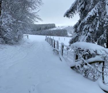 Buellingen Ski Chalet | Chalet Le Grand Cerf