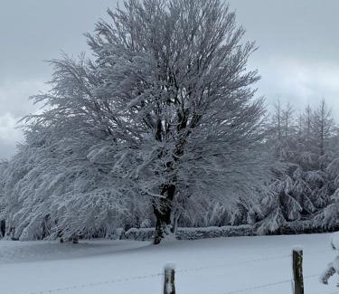 Buellingen Ski Chalet | Chalet Le Grand Cerf