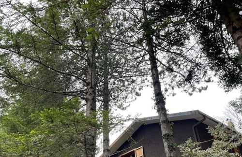 Montecopiolo Ski Chalet | Chalet Leonard House in the Woods Bike&Nature