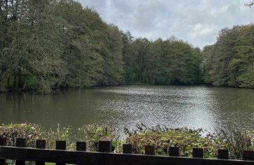 Dehault Ski Chalet | Chalet nature avec étang, terrasse et pêche No Kill - 2 chambres - FR-1-410-383