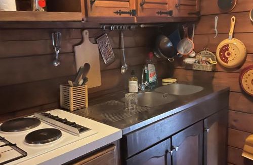 Dehault Ski Chalet | Chalet nature avec étang, terrasse et pêche No Kill - 2 chambres - FR-1-410-383