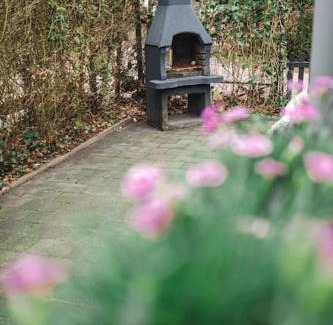 Bosgebied Hoenderloo Ski Chalet | Chalet op familiepark Veluws Hof op de Veluwe