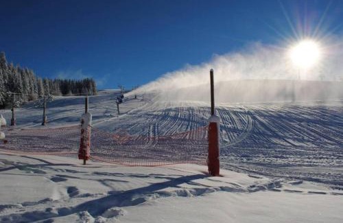 Les Gets Ski Chalet | Chalet Petit Pierre Les Gets - Mountain Voyages