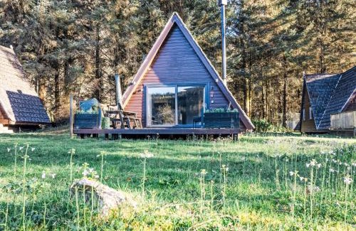 South Laggan Ski Chalet | Chalet Pine Needle Lodge by Interhome