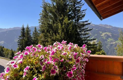 Rohrberg Apartment | Chalet Platzhirsch Zillertal Panoramablick