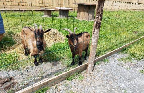 Spay Bed & Breakfast | Chalet - Proche circuit - Au Calme